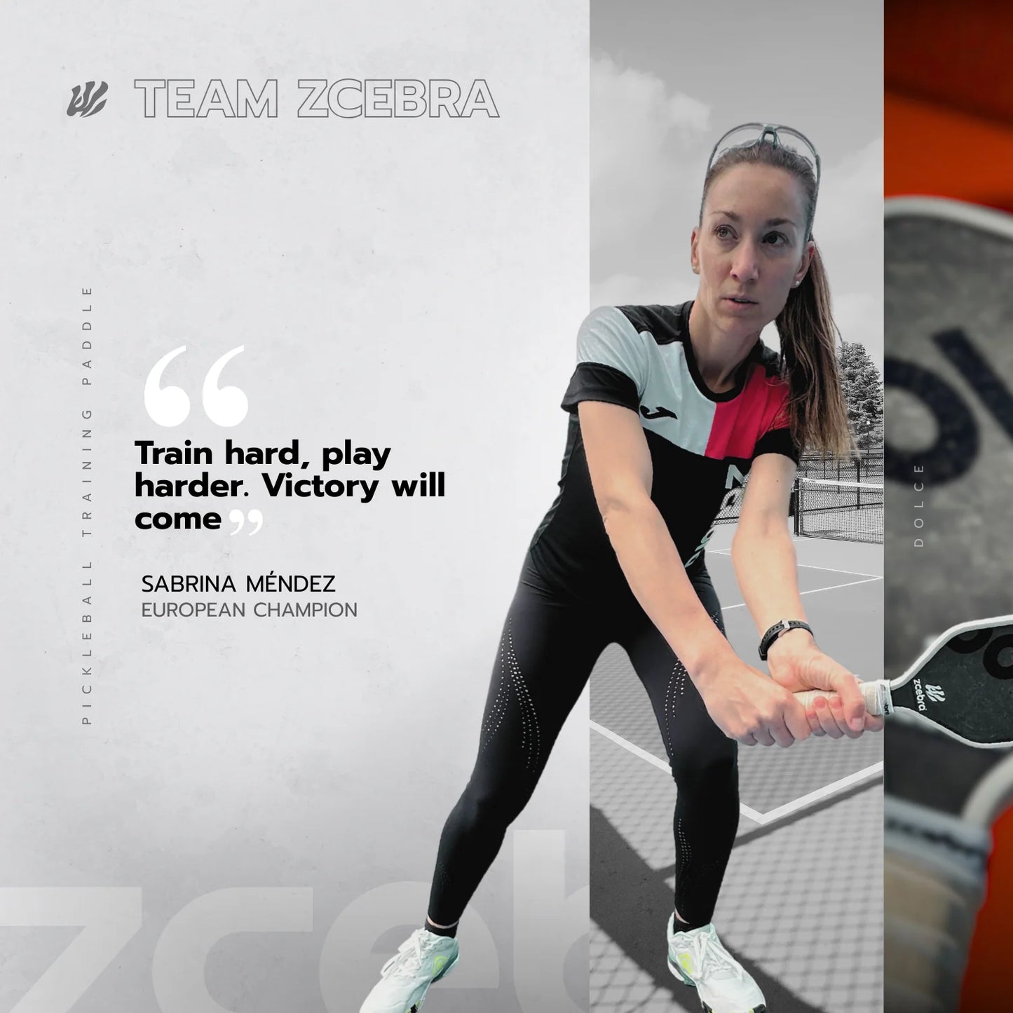 Zcebra Dolce Sweet Spot Trainer