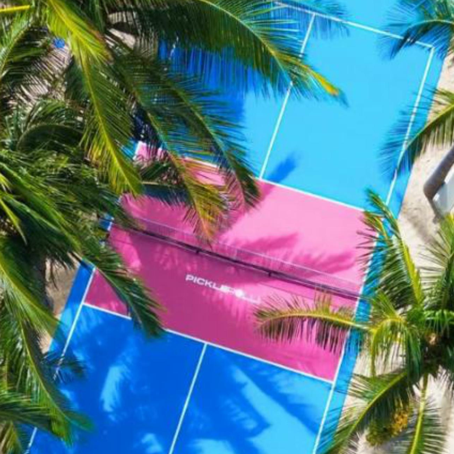 JOOLA COURT - Pickleballbane by PICKLEROLL