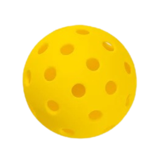 FZ Forza Udendørsbolde